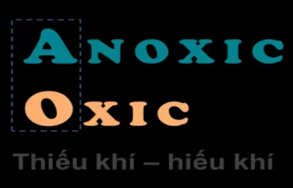 Xử Lý Nước Thải Bằng Công Nghệ Sinh Học AO - Giải Pháp Hiệu Quả