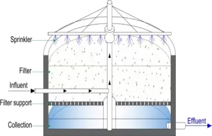 Hệ thống lọc sinh học nhỏ giọt (Trickling Filter) – Giải pháp bền vững cho xử lý nước thải quy mô vừa và nhỏ