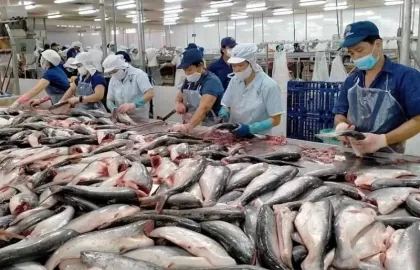 Hệ thống xử lý nước thải chế biến nông sản